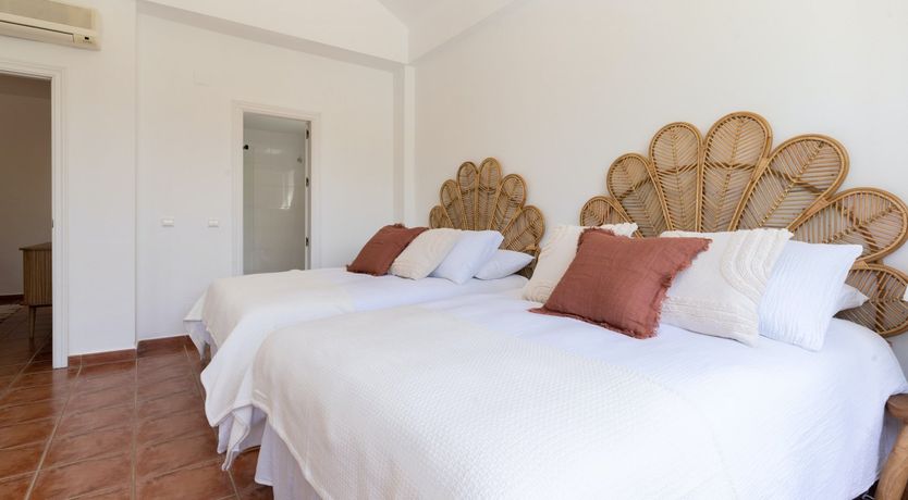 Photo of Orange Shades of Green