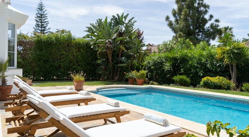 Photo of Orange Shades of Green