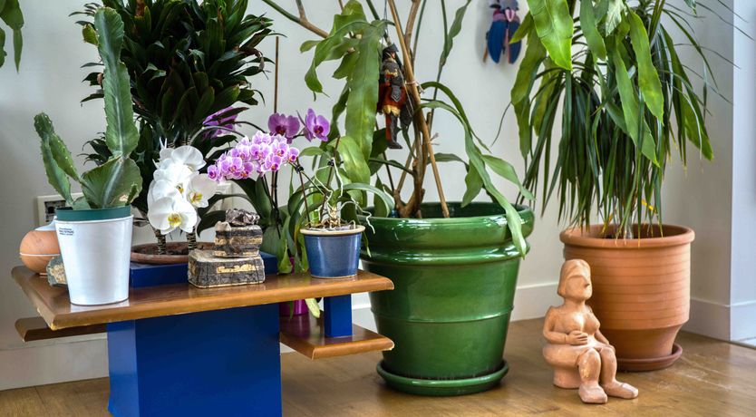 Photo of Athens Design