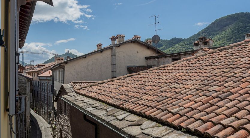 Photo of Cream Roses