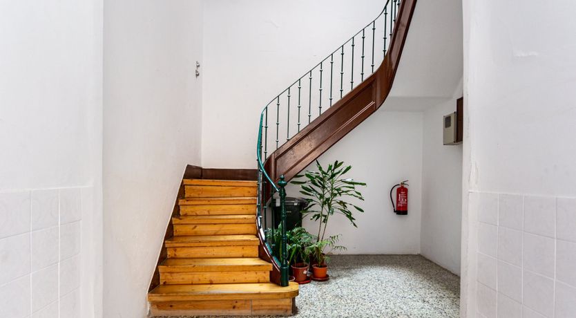 Photo of Floral Daydream