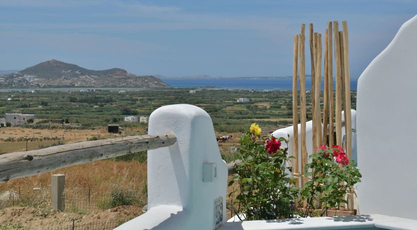 Photo of Zeus in the Architecture