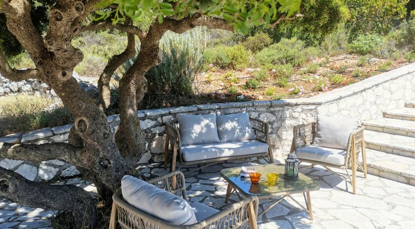 Photo of Sunset & Sea Lilies