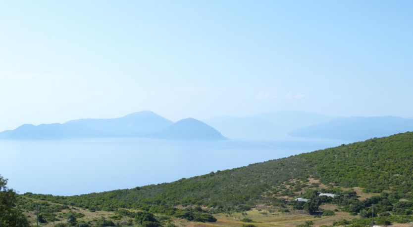 Photo of Sunset & Sea Lilies