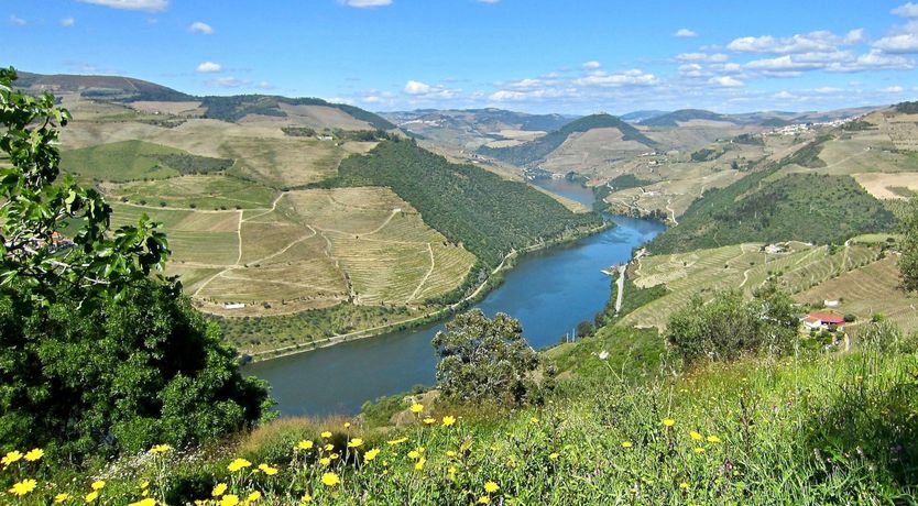 Photo of Valley of the Wines