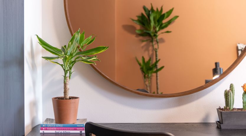 Photo of Athenian Musa