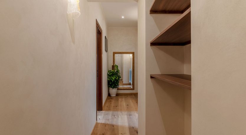 Photo of Grapes on the Vine