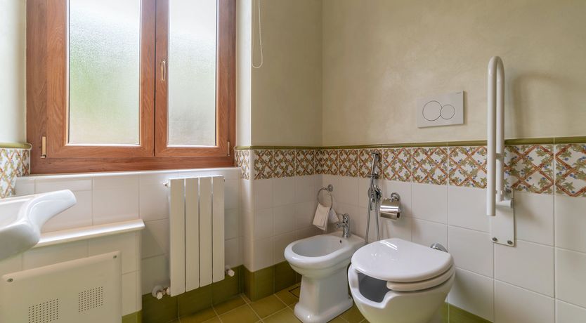 Photo of Grapes on the Vine