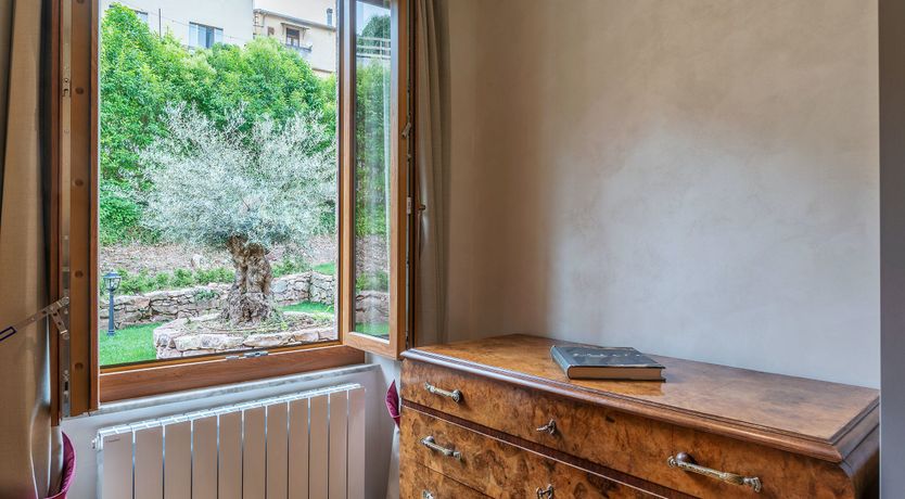 Photo of Grapes on the Vine