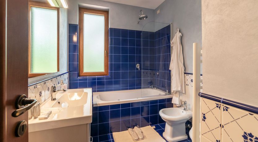 Photo of Grapes on the Vine