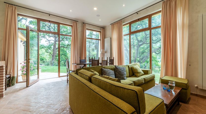 Photo of Grapes on the Vine