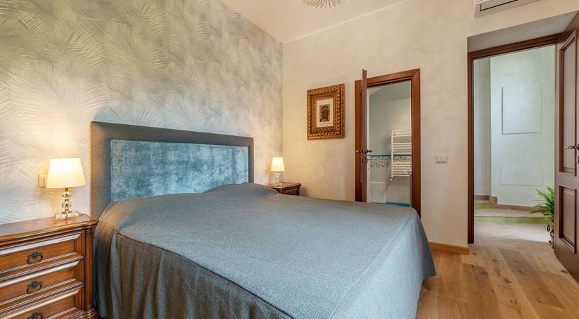 Photo of Grapes on the Vine