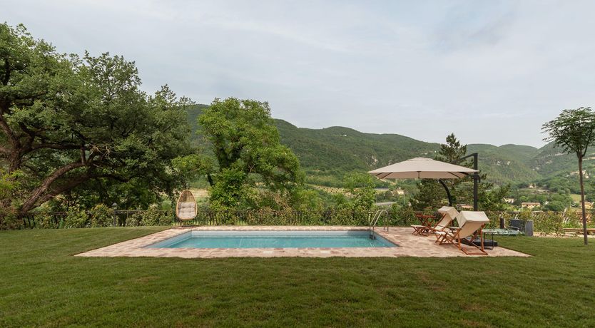 Photo of Grapes on the Vine