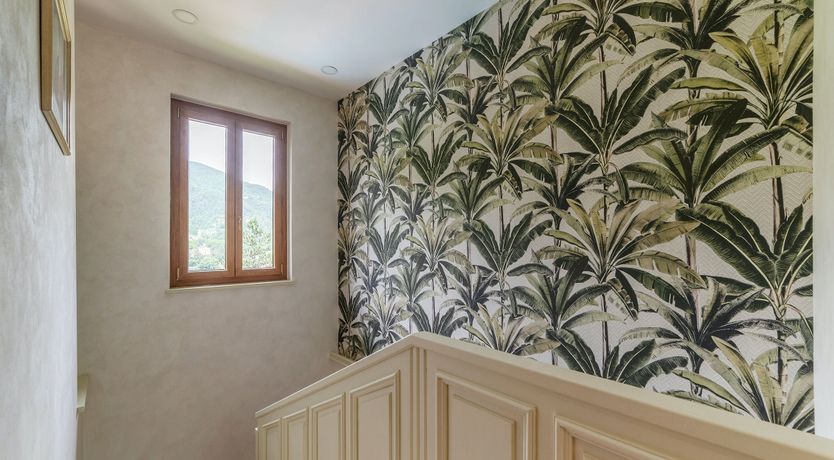 Photo of Grapes on the Vine