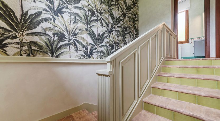 Photo of Grapes on the Vine