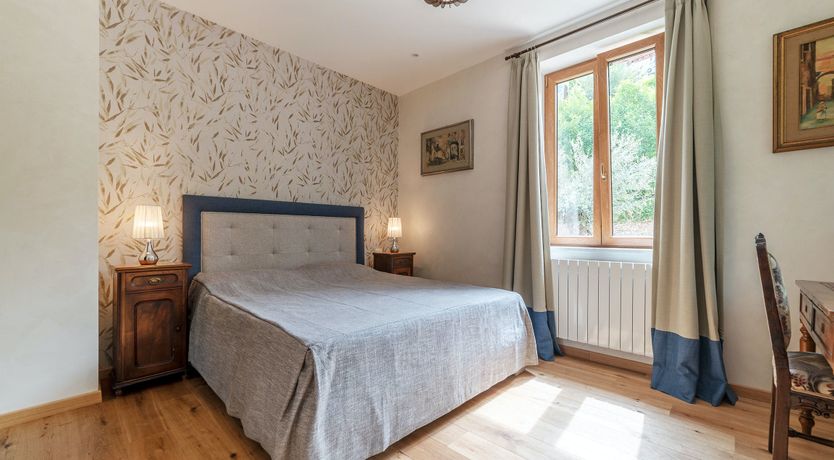 Photo of Grapes on the Vine