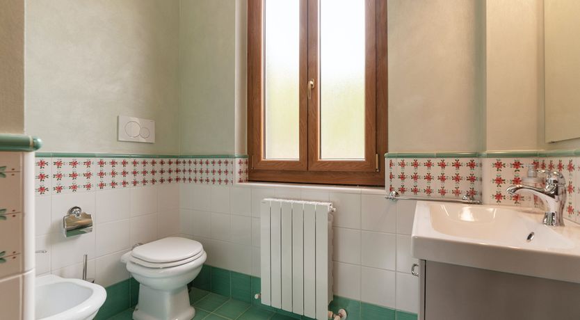 Photo of Grapes on the Vine