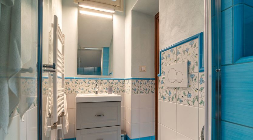 Photo of Grapes on the Vine