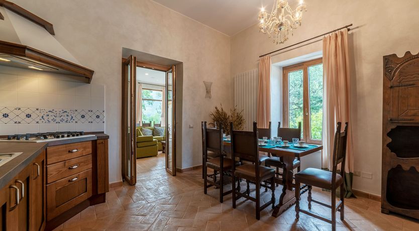 Photo of Grapes on the Vine