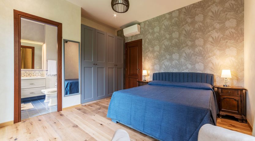 Photo of Grapes on the Vine