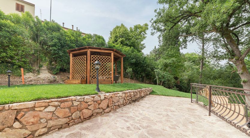 Photo of Grapes on the Vine