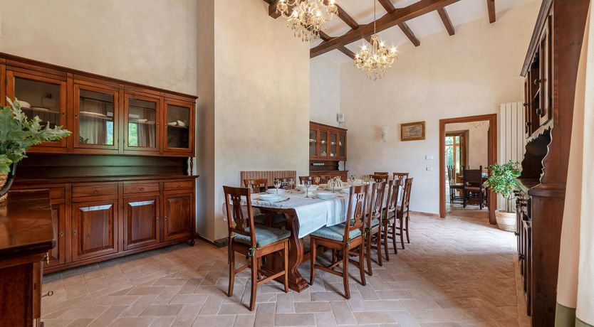 Photo of Grapes on the Vine