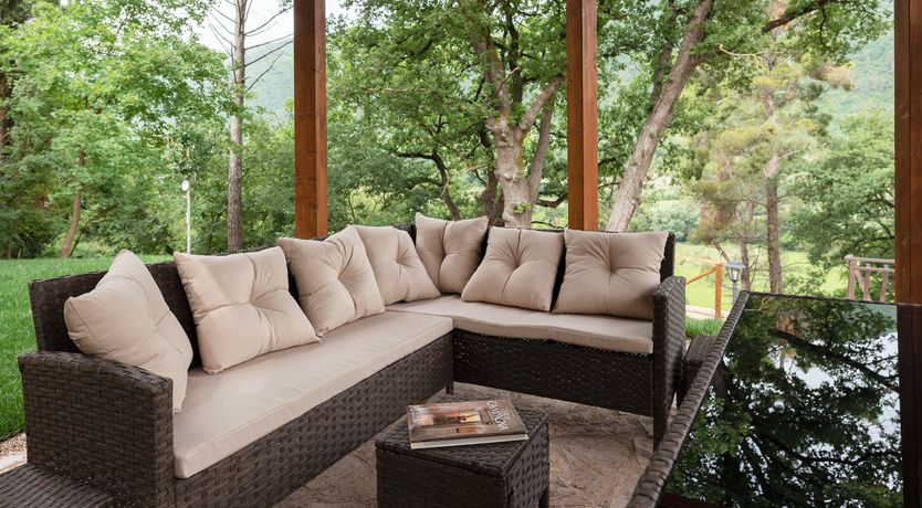 Photo of Grapes on the Vine