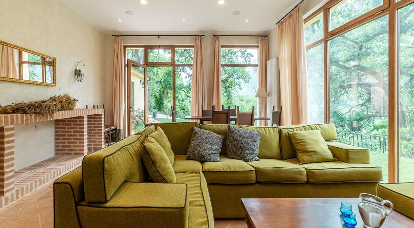 Photo of Grapes on the Vine