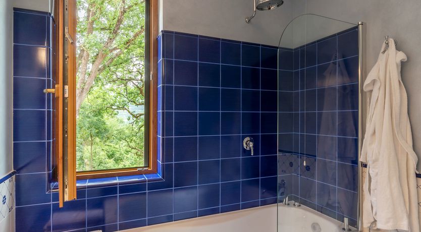 Photo of Grapes on the Vine