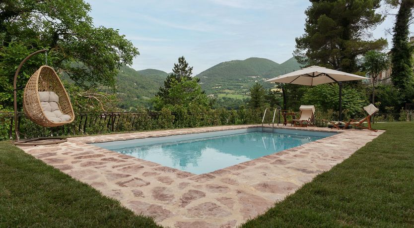 Photo of Grapes on the Vine