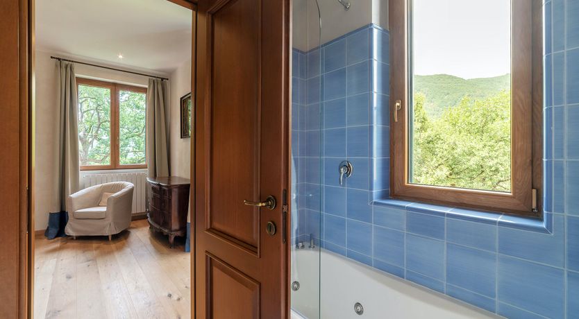 Photo of Grapes on the Vine