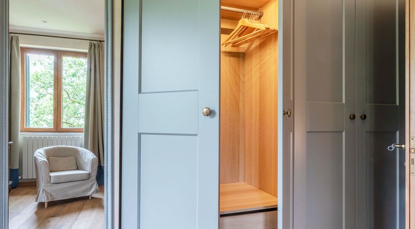 Photo of Grapes on the Vine