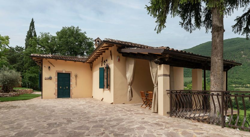 Photo of Grapes on the Vine