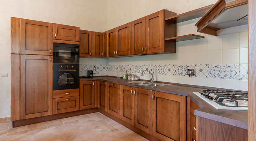 Photo of Grapes on the Vine