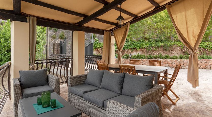 Photo of Grapes on the Vine