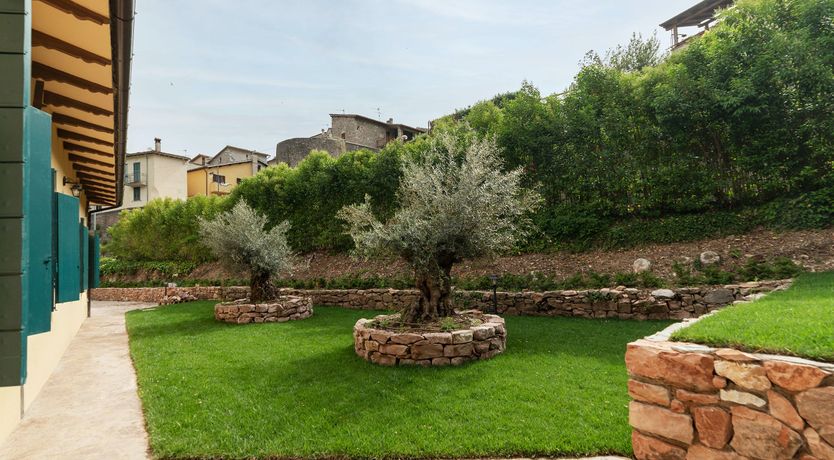 Photo of Grapes on the Vine