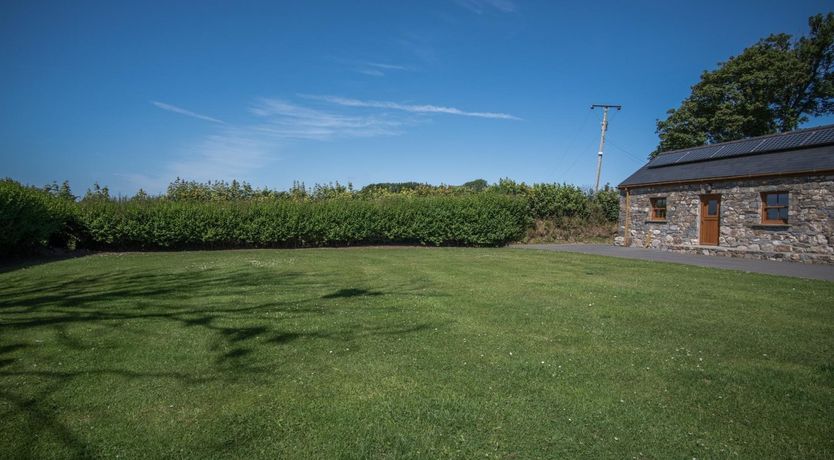 Photo of Daisies & Barley