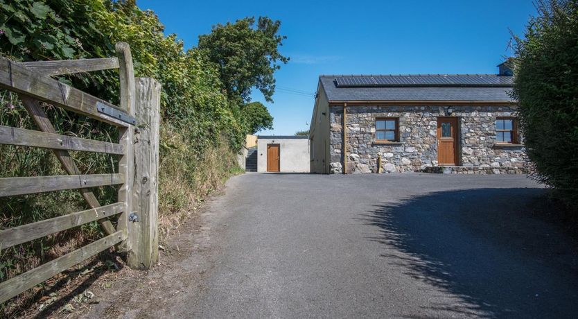 Photo of Daisies & Barley