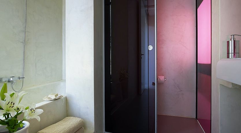 Photo of Apollo's Lyre