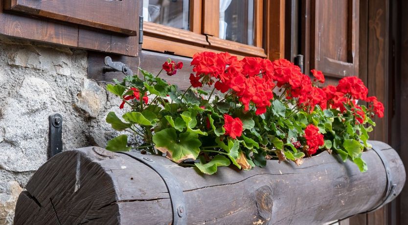 Photo of Homage to Catalonia