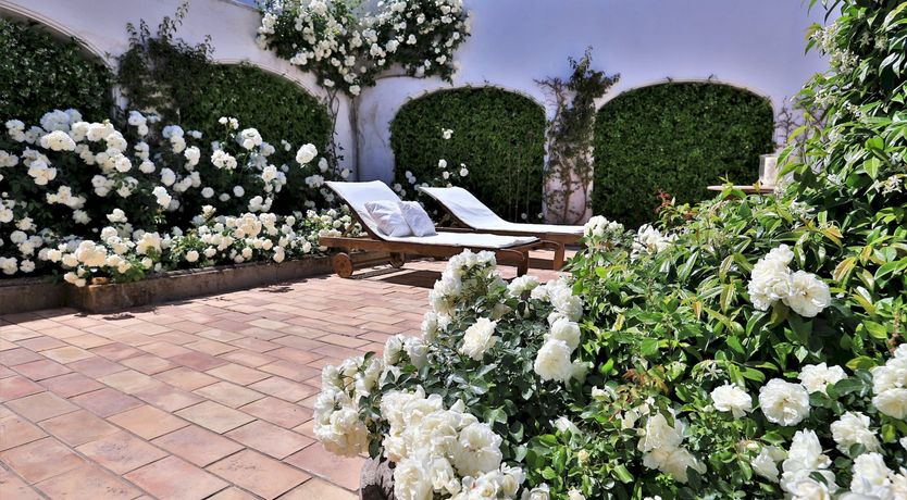 Photo of La Rosa Bianca