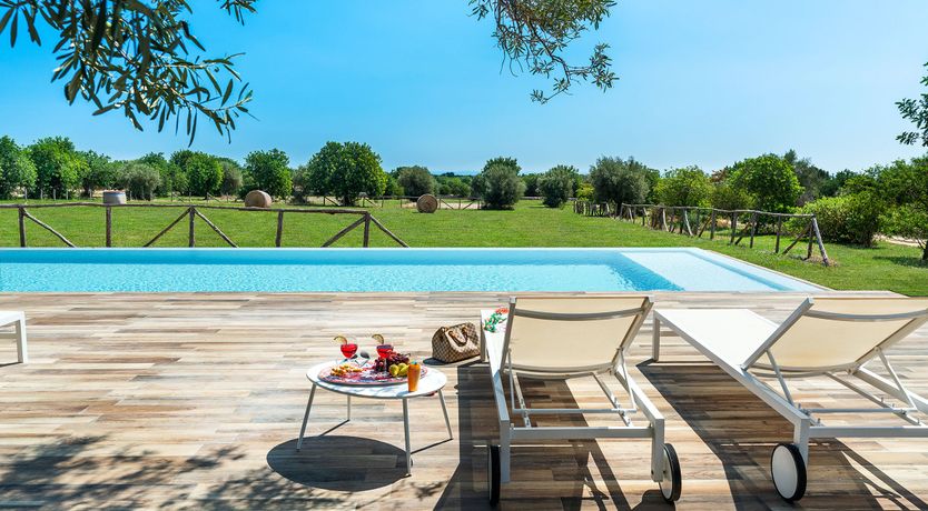 Photo of Hay Sunshine