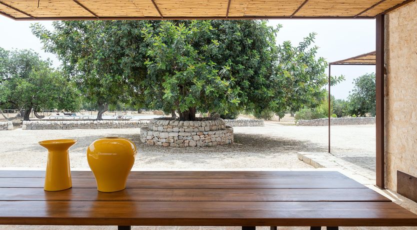 Photo of Hay Sunshine