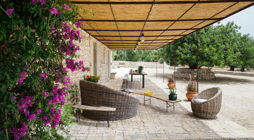 Photo of Hay Sunshine