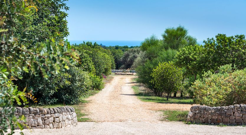 Photo of Hay Sunshine