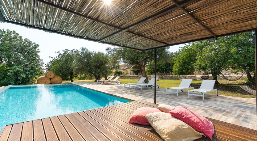 Photo of Hay Sunshine