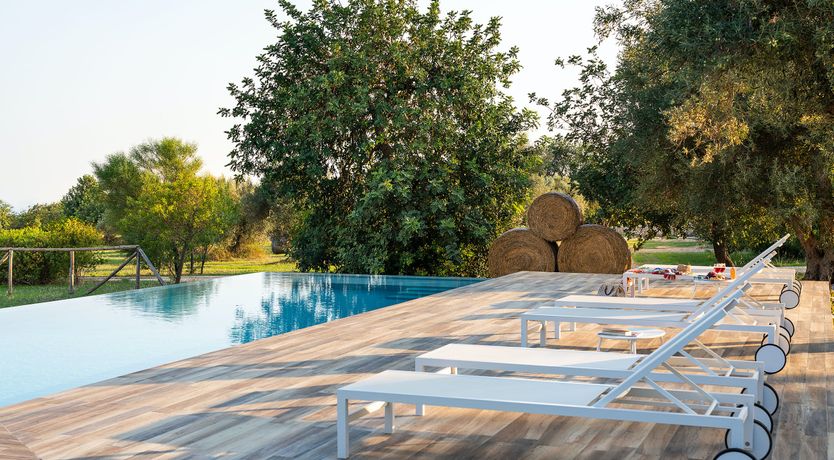 Photo of Hay Sunshine