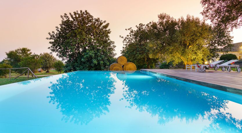 Photo of Hay Sunshine