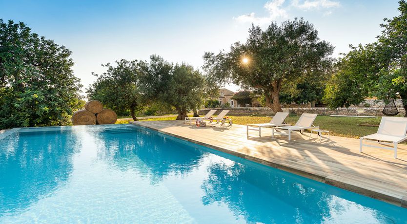 Photo of Hay Sunshine