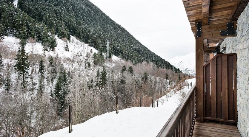 Photo of Valley Orchid